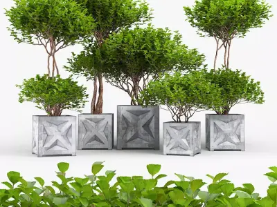 Tropical bush Low-poly 3D model