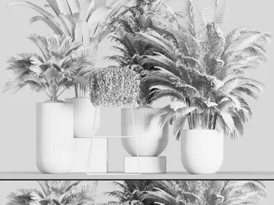 indoor plant Set 3 3D model