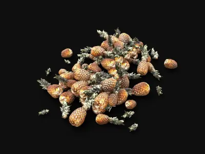 PINEAPPLE ANANAS STOCK PILE STREET MARKET PROP Low-poly 3D model