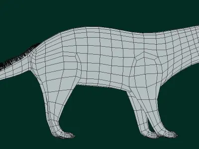 African Civet Cat Low-poly 3D model