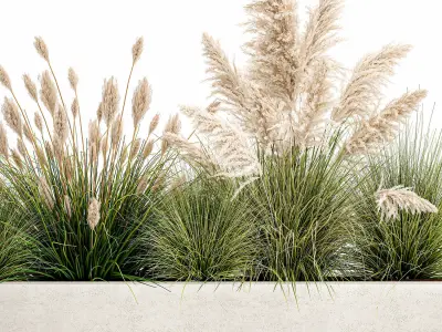Potted reeds for landscaping 1077 3D model