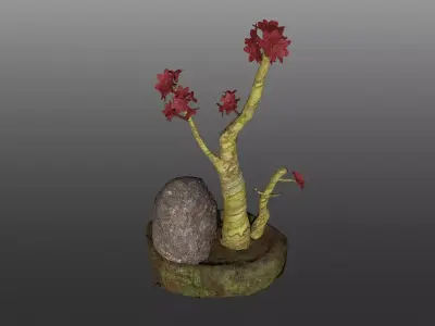 Bonsai Pot  Low-poly 3D model