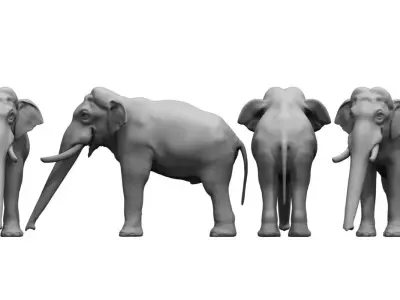 elephant 3d model 3D model purchase