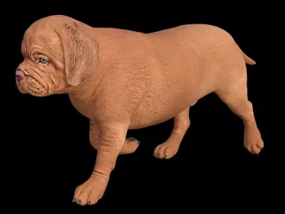 5 stand alone obj-12 3D model