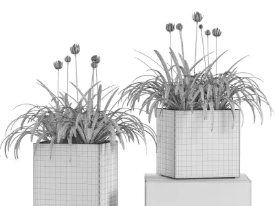 Plants collection 15 3D model purchase