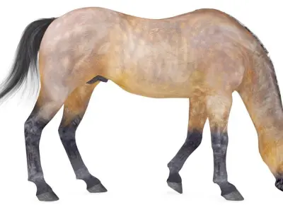 Horse Collection 02 3D model