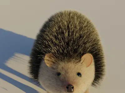 A cute spiny Hedgehog 3D model