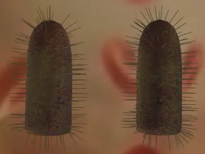 Rabies virus Low-poly 3D model