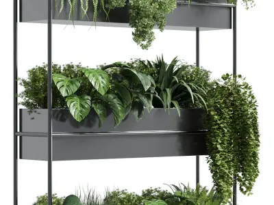 stand wall decor with shelves for the closet or showcase plants 3D model