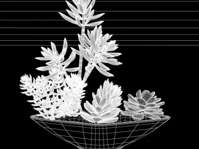 Pot Plant 11 3D model