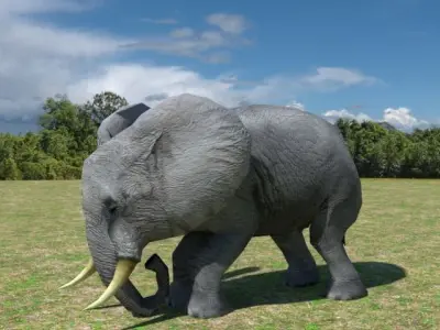 African Elephant Low-poly 3D model