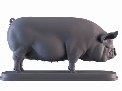 Middle White Pig 3D print model