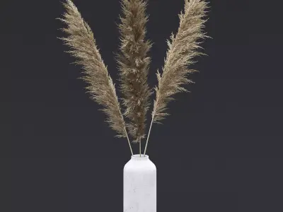Pampas Grass I 3D model