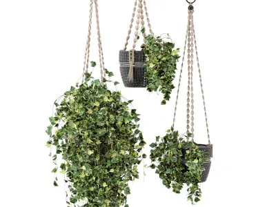 Indoor Plants in rusty Concrete Pot with Macrame - Set 17 3D model