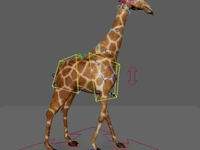Giraffe 3D model