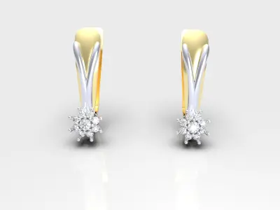 Flower earrings  3D print model