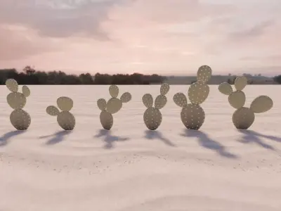 6 Free Cactus Models - Bunny Ears Cactus Free 3D model