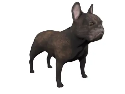 French Bulldog 3D model