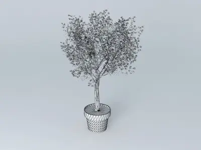 Terracotta vase with tree Free 3D model