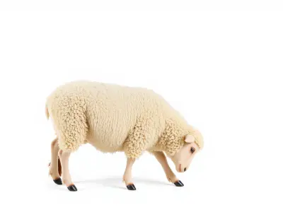 Sheep Fluffy Coat Grazing model pack Low-poly 3D model