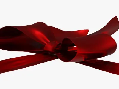 Wrapping bow 04 3D model