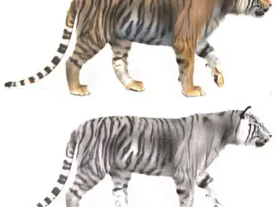 The Ultimate CGI Tiger - 3d model 3D model