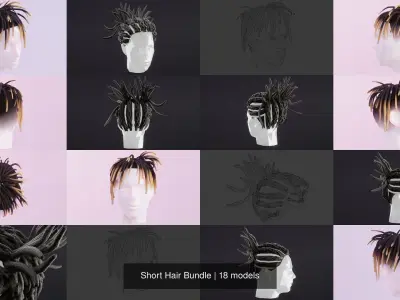 Short Hair Bundle 3D Model Collection