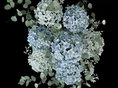 Hydrangea bouquet 3D model
