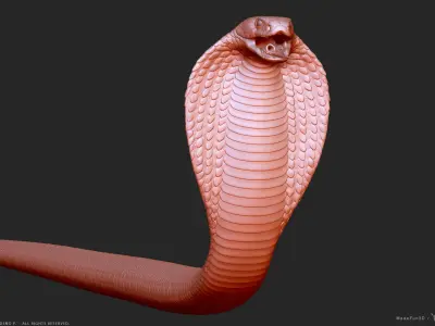 King Cobra Snake - Highpoly Sculpture 3D model