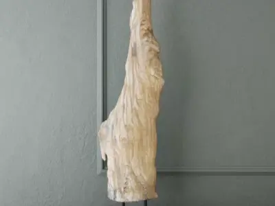 Natura Root Wood 3D model