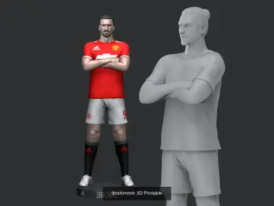 Ibrahimovic Collection bust of soccer player 3D Model Pack