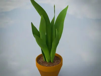 Lowpoly Indoor Plants Pack Low-poly 3D model