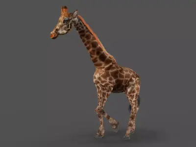 Fur Giraffe Rigged in Blender Low-poly 3D model