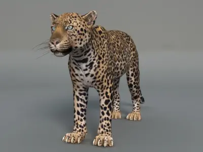 Rigged Leopard Maya 3D Model with 2K Textures 3D model