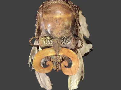 Ancestor Skull 3D model