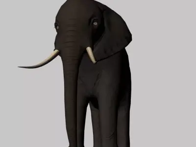 Rigged-Animated Elephant 3D model