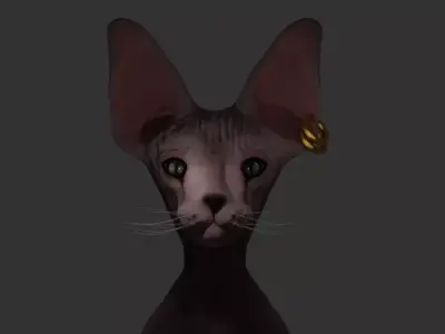 3D Model for a sphynx cat  3D model