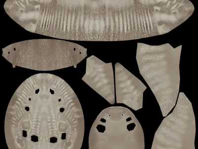 Dragon Skull Low-poly 3D model