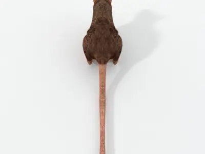 Rat Animal Low-poly 3D model