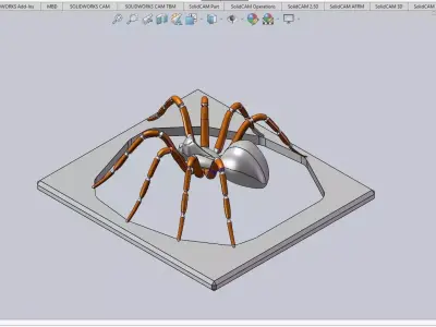 Spider 3D Model 3D model