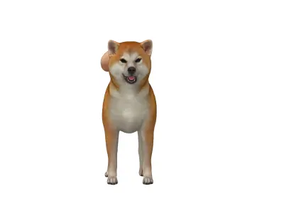 Japanese Shiba Inu Dog Low-poly 3D model