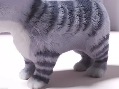 Hair Fur Cute Cat  Low-poly 3D model