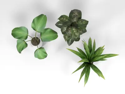 Plants 1 Low-poly 3D model