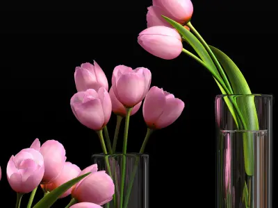 pink tulip set 5 3D model