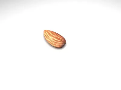 Almond 3D model