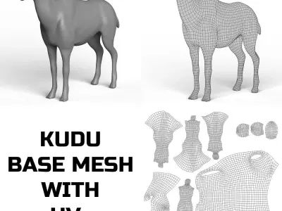 Kudu Base Mesh Low-poly 3D model