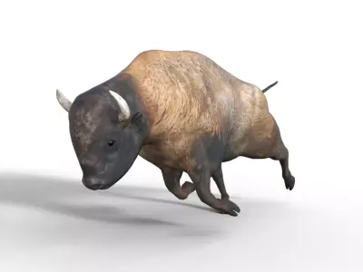 Bison rigged Low-poly 3D model