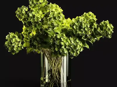 Hydrangea in glass vase 3D model
