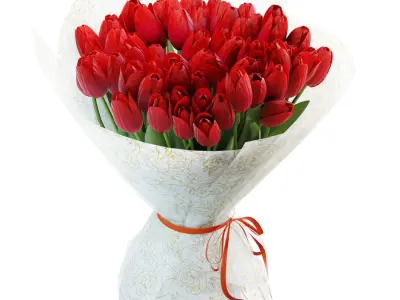 Flower Set 30 - Red Tulips Bouquet 3D model