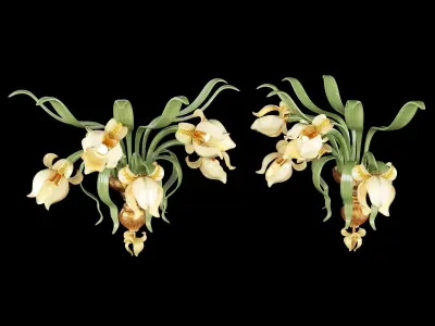 Wall Lamp White Iris 3D model